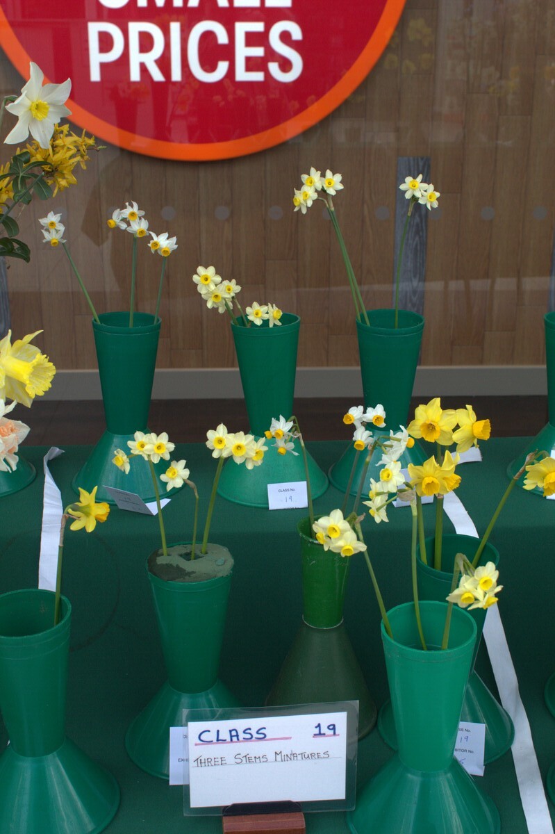 Spring Show 2026 3 stems miniatures Class